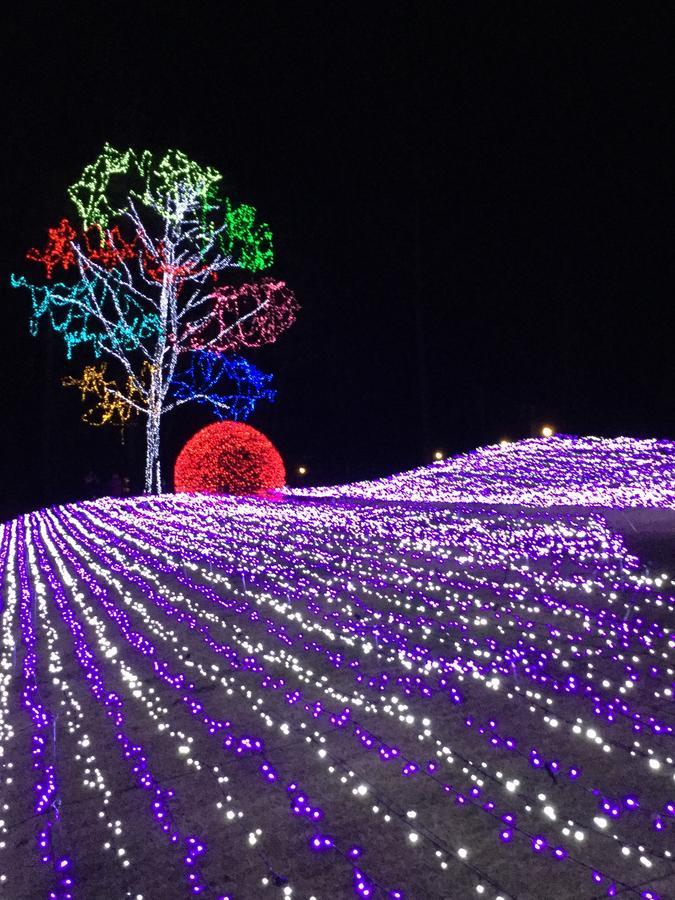 Pension Snow Hakuba Bagian luar foto