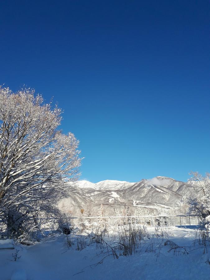Pension Snow Hakuba Bagian luar foto